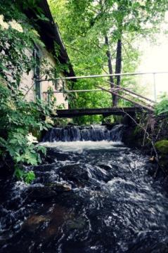 Knobleharjevo 2012 - Fotografski natečaj Občine Škocjan 2012 4